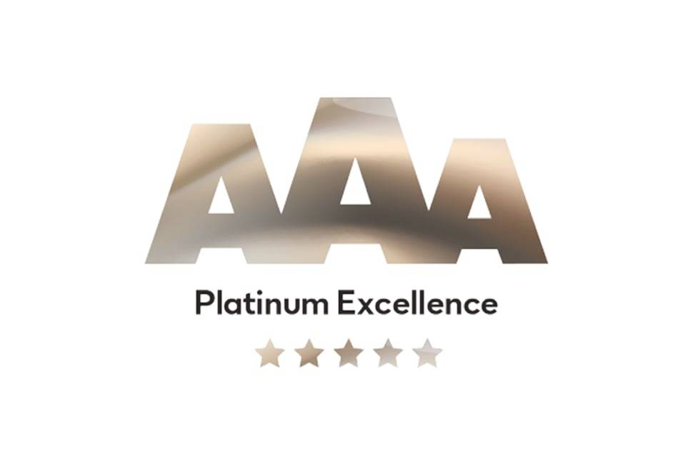 We received new recognition! - Bisnode Platinum Excellence Certificate